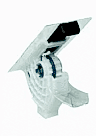 Paletli Dişli Kursak Takımı